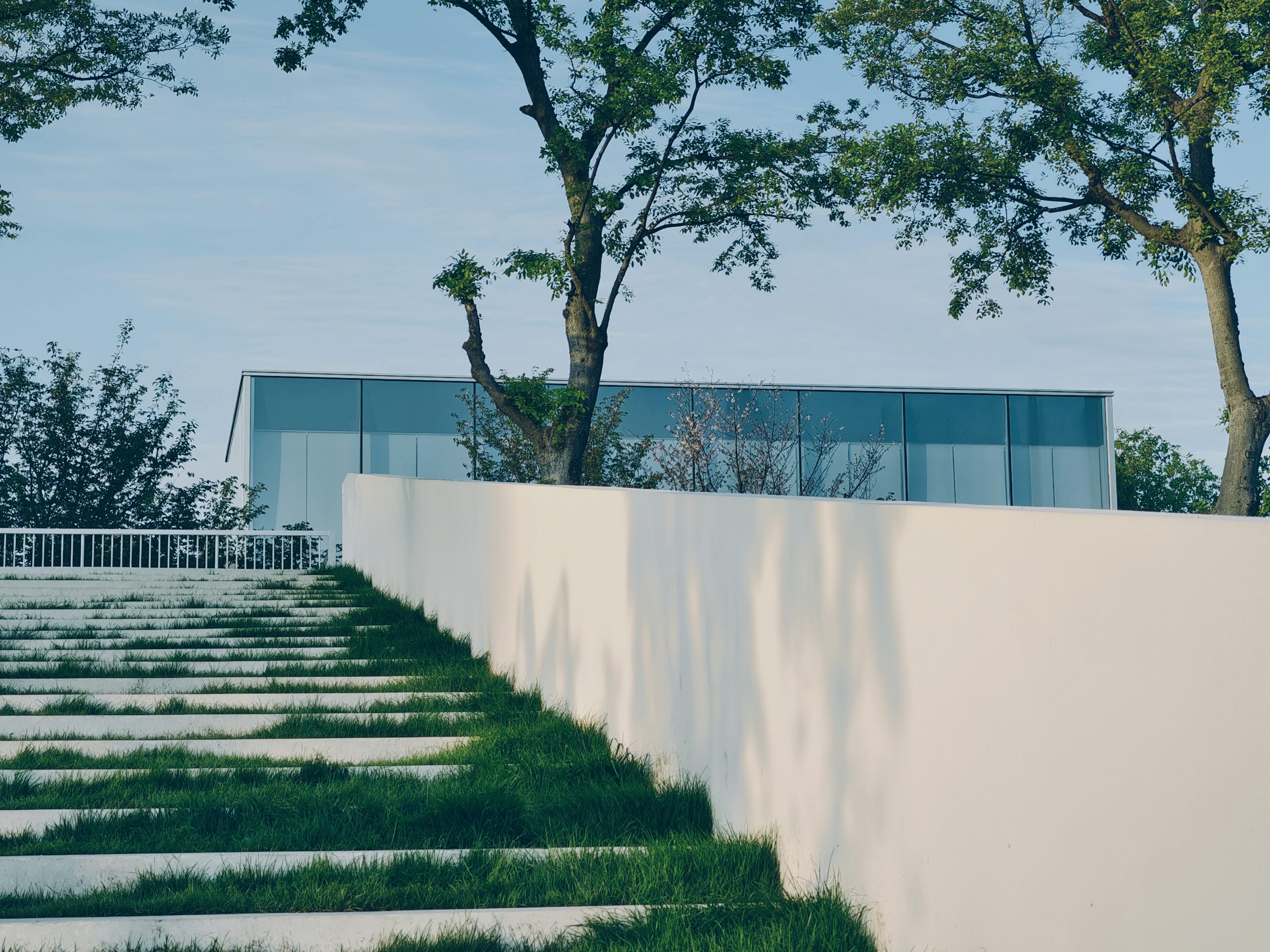 White modern residence among trees, with wide steps leading through a planted landscape